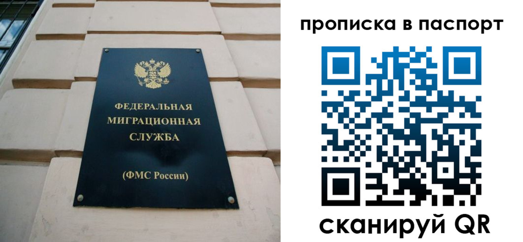 найти адрес прописки в Донском
